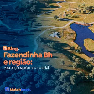 fazendinha bh