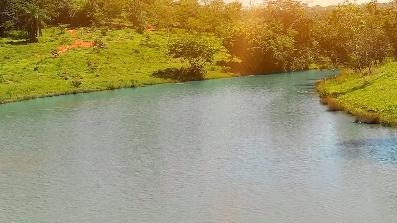 4c13442e-1ff5-49d5-8a6c-3393f0f2fdf6