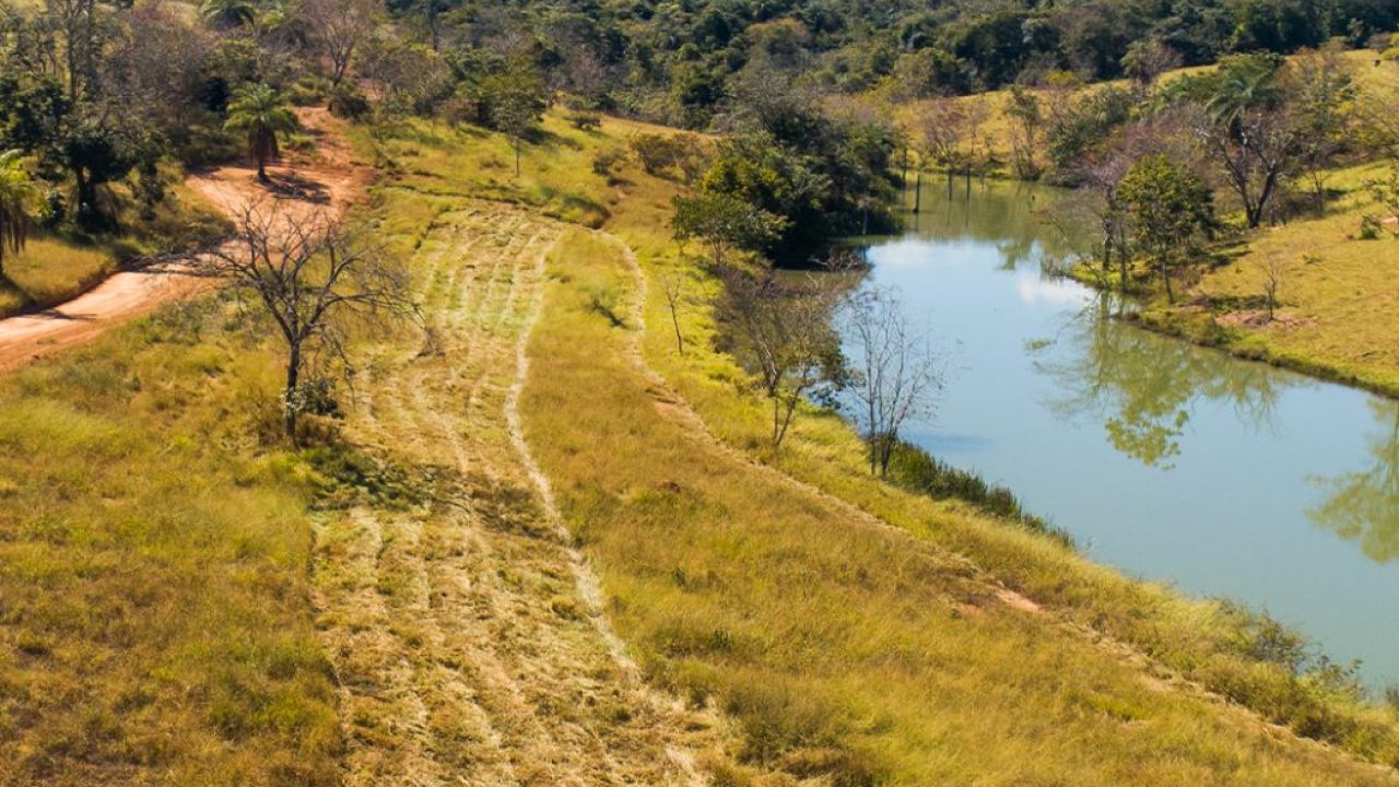 d2c5c54d-3997-4a4e-be6e-ad07dea4c7e8